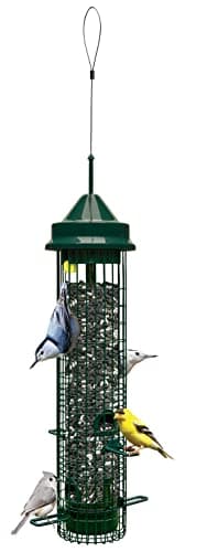 Squirrel Buster Classic Squirrel-Proof Bird Feeder