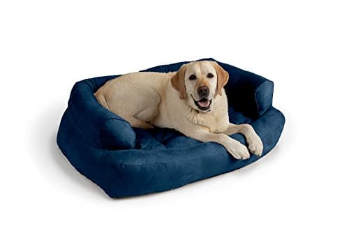 Snoozer Overstuffed Dog Sofa, Luxury Dog Couch, Sapphire (XL)