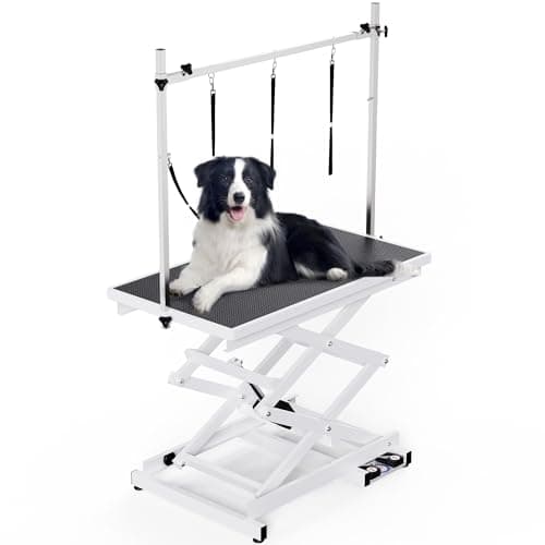 Flying Pig Heavy Duty Super-Low Electric Lift Grooming Table
