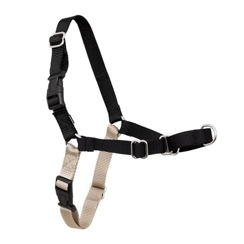 PetSafe Easy Walk No-Pull Dog Harness - Ultimate Harness to Help Stop Pulling - Pull-Free Walks - Take Control & Teach Better Leash Manners - Patented Martingale Loop Design - Black, Large