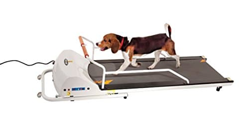 GoPet PetRun PR720F Dog Treadmill Indoor Exercise Kit (Up to 132 lbs)