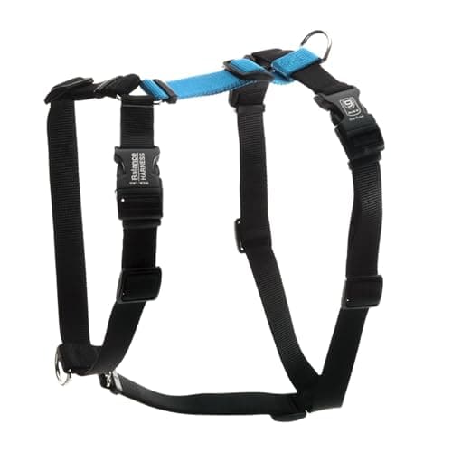 Blue-9 Buckle-Neck Balance Harness, Fully Customizable Fit No-Pull Harness, Ideal for Dog Training and Obedience, Made in The USA, Sky Blue, Medium