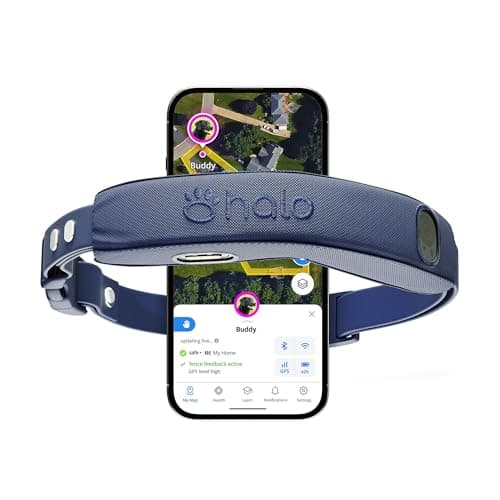 Halo Collar 5