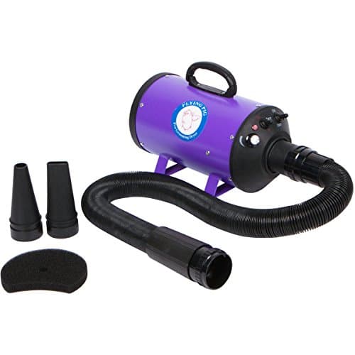 Flying Pig Flying One High-Velocity Pet Dryer