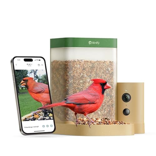 Birdfy Smart Bird Feeder for Rookie