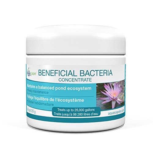 Aquascape Dry Beneficial Bacteria (4.4 oz)
