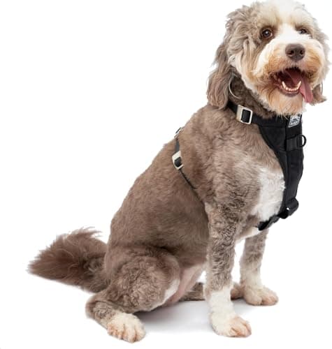 Kurgo Enhanced Strength Tru-Fit Smart Harness, Black, Large