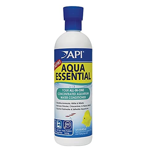 API Aqua Essential