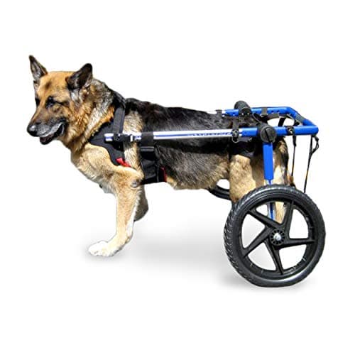 Walkin' Wheels Dog Wheelchair for Large Dogs 70–180 Pounds