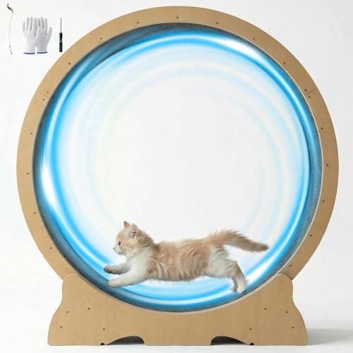 POLAHAKU Cat Exercise Wheel, 48 Inch Diameter Cat Treadmill for Indoor Cats, Cats Running Wheel with Updated Enhanced Base and Carpeted Runway for Cat's Longer Life and Fitness, Natural