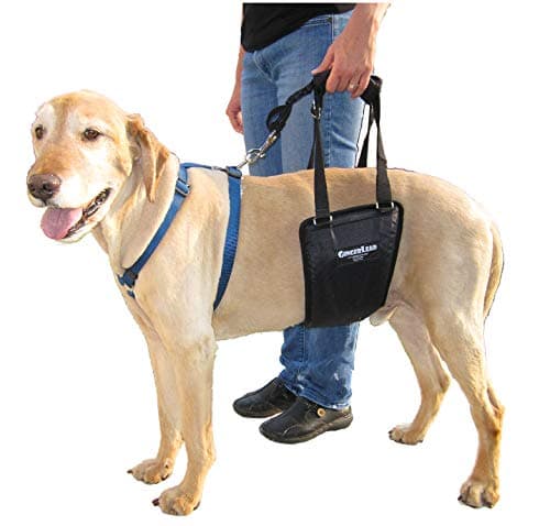 GingerLead Support Harness