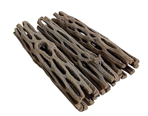 SoShrimp Natural Cholla Wood, 4-inch 3-pack
