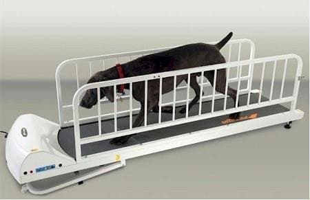 GoPet PR725 Dog Treadmill for Large Dogs Up to 175 lbs (Includes Leash Bar)