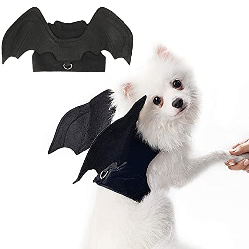 RYPET Pet Bat Wings