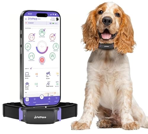PetPace V3.0 AI Health Collar (Medium)