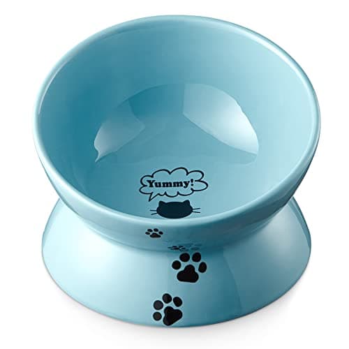 Y YHY Raised Ceramic Cat Bowl