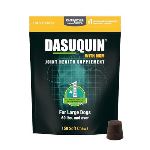 Nutramax Dasuquin with MSM Soft Chews for Large Dogs