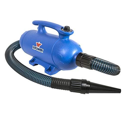 XPOWER B-27 Professional Pet Grooming Force Dryer with Dual Motors
