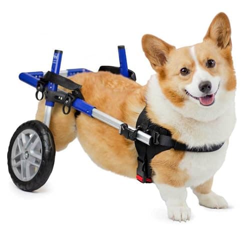 Walkin' Wheels Corgi Dog Wheelchair for Small Dogs 11–44 Pounds