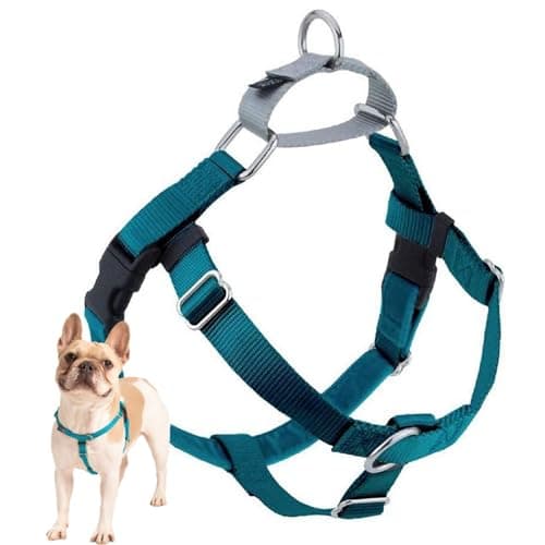 2 Hounds Design Freedom No Pull Dog Harness, Adjustable Harness, Easy Walking & Comfortable Control, Fits Small, Medium & Large Dogs, Solid Colors, Made in USA, 1" MD, Teal