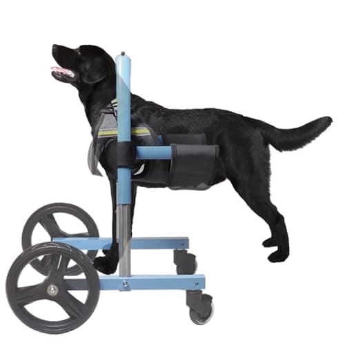 Amputee Dog Wheelchair for Front Legs Support Only, Adjustable Mobility Aid