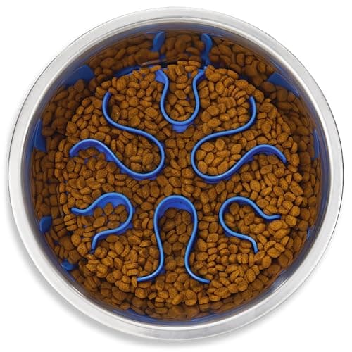 Outward Hound Fun Feeder Stainless-Steel Slo Bowl