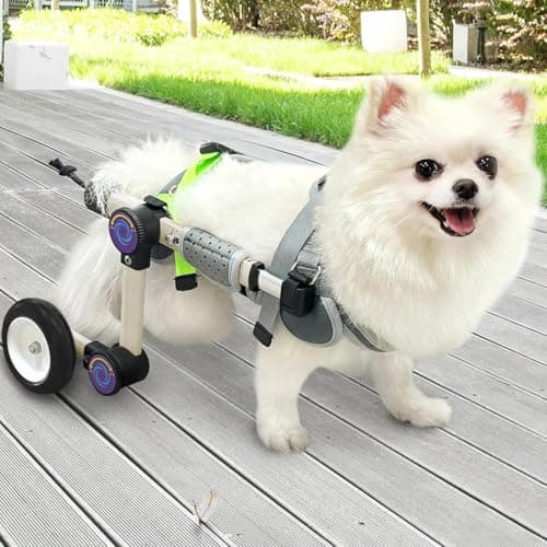 LetPetRun Adjustable Dog Wheelchair for Back Legs, Lightweight