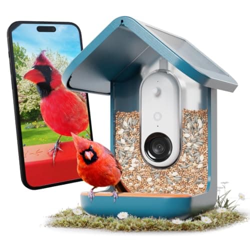 Birdbuddy PRO Solar Smart Bird Feeder
