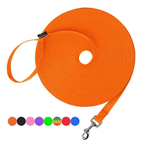 Hi Kiss Dog Training Long Line (20 ft)