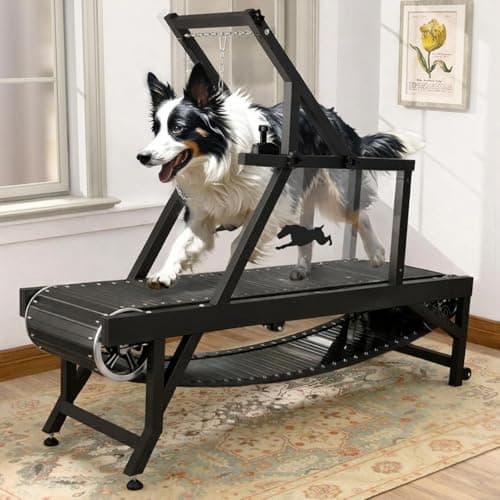 HotFeed Dog Slat Mill Treadmill for Medium Dogs with Brake, Up to 300 lbs