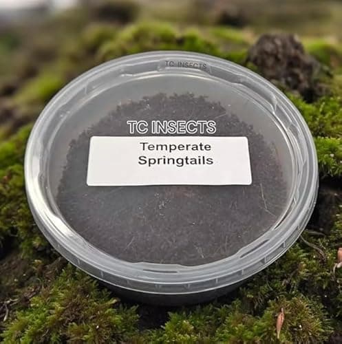 TC INSECTS Live Springtail (Temperate) Culture 8oz