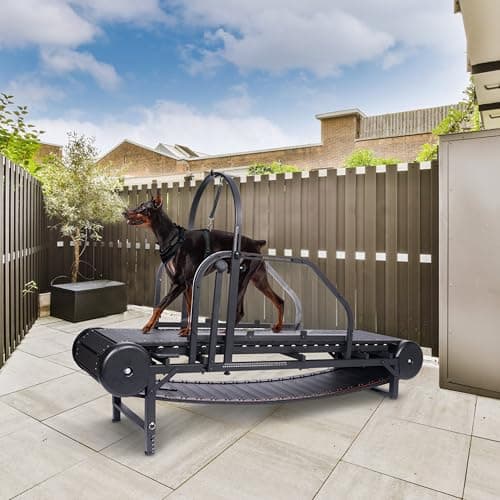 Kolmmeo Non-Motorized Dog Slatmill for Large/Medium Dogs, Up to 500 lbs (L-Handbrake)