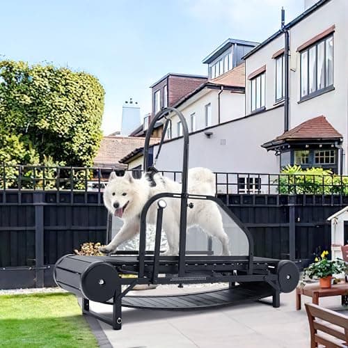 Kolmmeo Non-Motorized Dog Slatmill for Large/Medium Dogs, Up to 300 lbs (M-Handbrake)