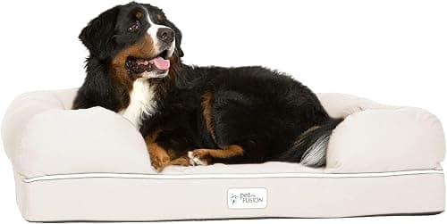 PetFusion Extra Large Dog Bed w/ Solid 4" Memory Foam, Waterproof Liner & YKK Premium Zippers, X-Large (44x34")