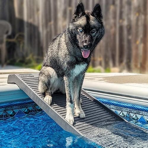 PetStep Pool Ramp for Dogs