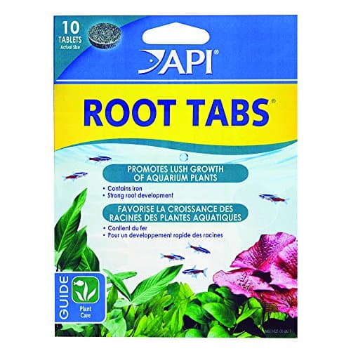 API Root Tabs (10-count)