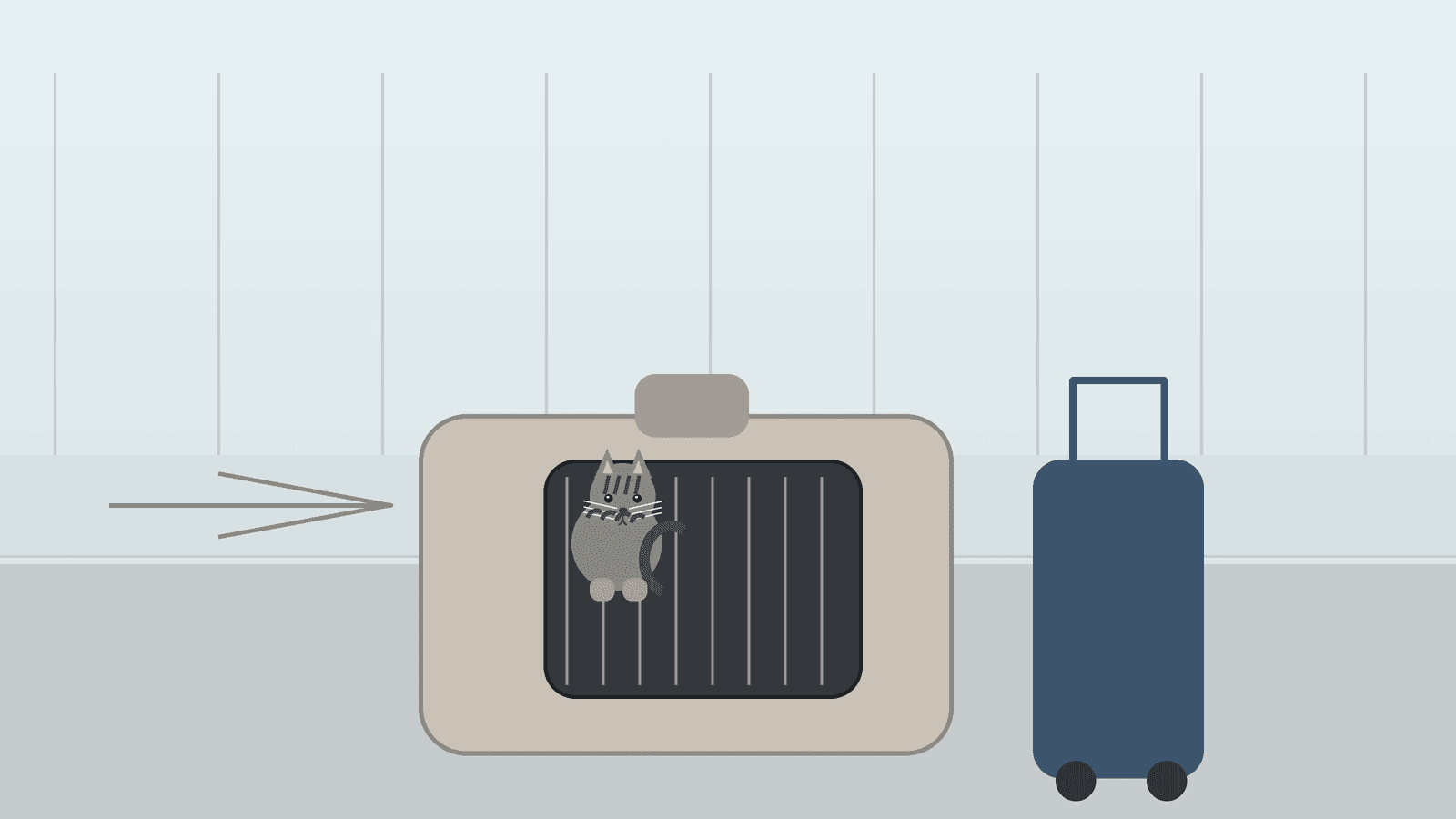 Best Airline-Approved Pet Carriers for In-Cabin Travel (2026)