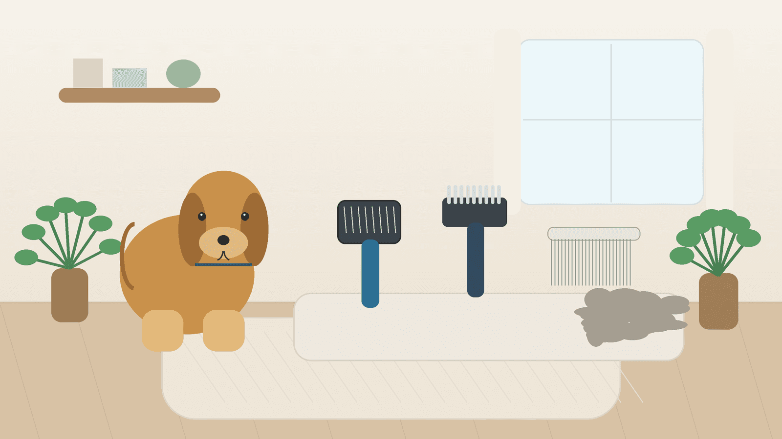 Best Dog Brushes for Shedding, Mats, and Every Coat Type (2026)