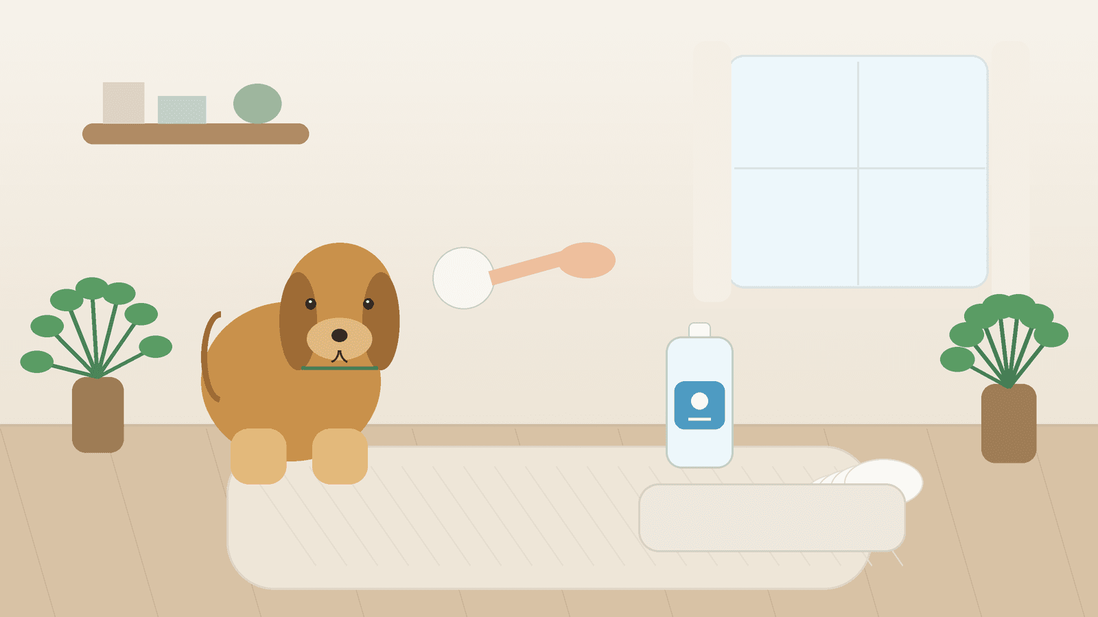 Best Dog and Cat Ear Cleaners for Routine Grooming (2026)