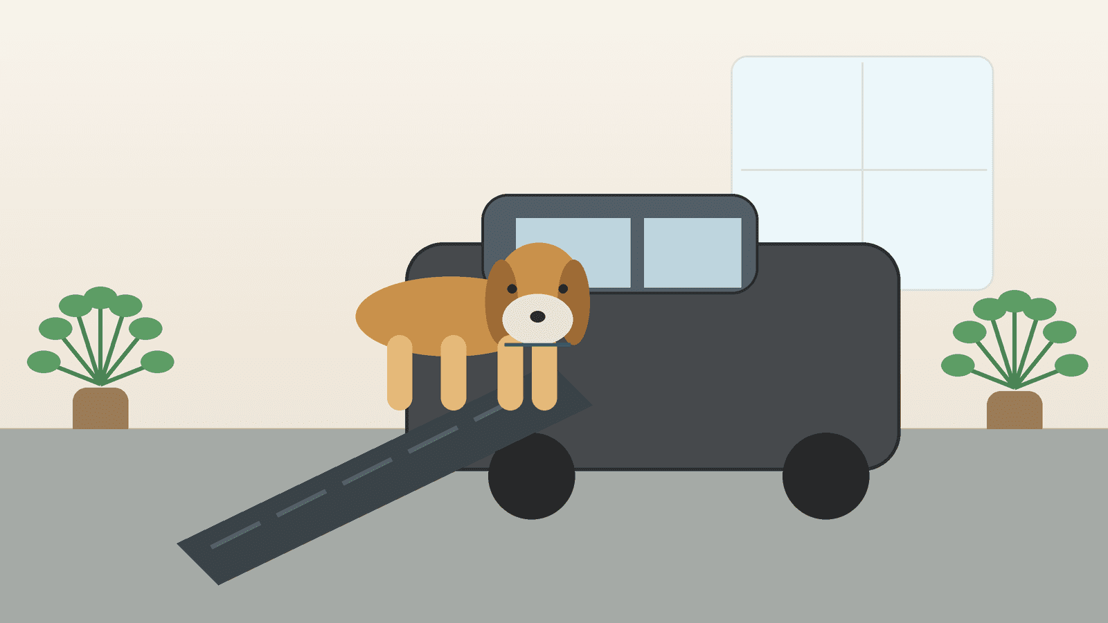 Best Dog Ramps and Stairs for Senior Dogs (2026)