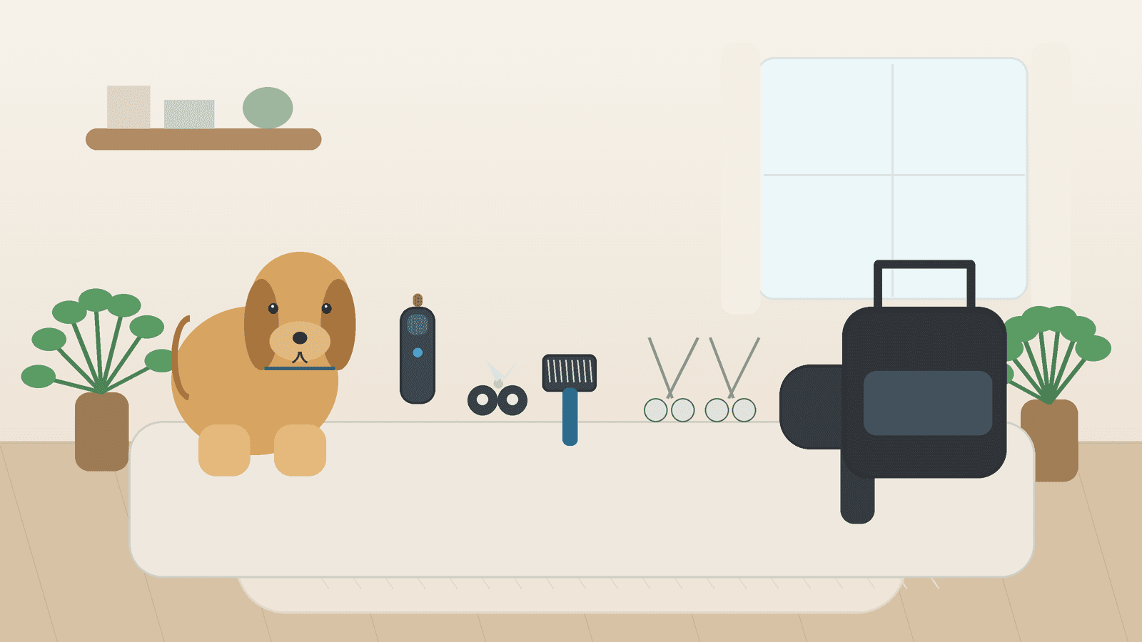 Best Home Dog Grooming Kits and Tools (2026)