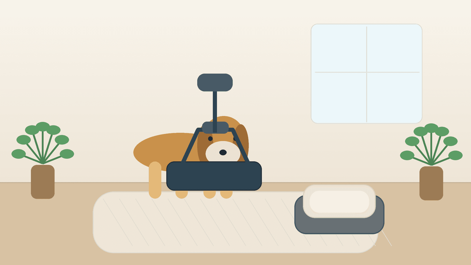 Best Pet Recovery and Medication Compliance Aids: Slings, Pill Pockets, Recovery Suits & Soft Collars (2026)