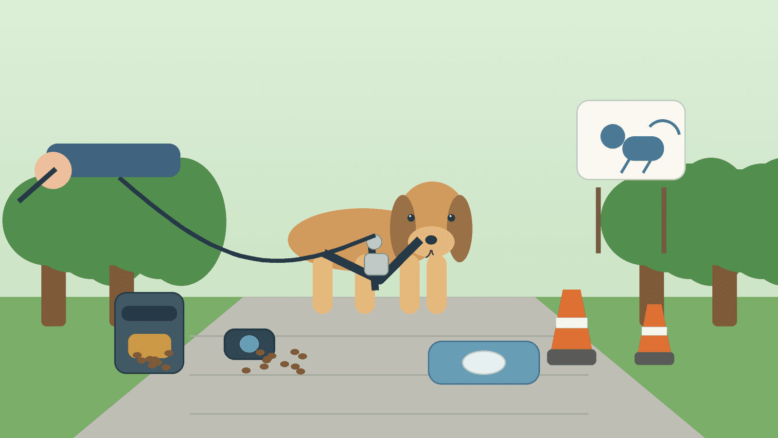 Best No-Pull Harnesses and Leash Manners Tools for Dogs (2026)