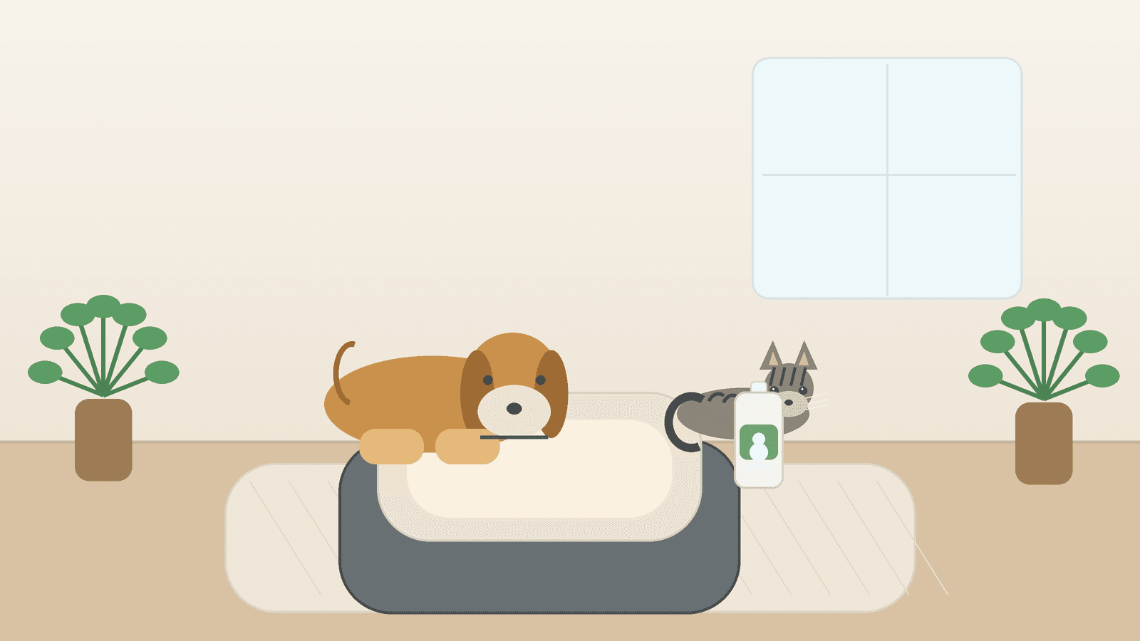 Best Orthopedic Dog Beds for Senior Pets (2026)