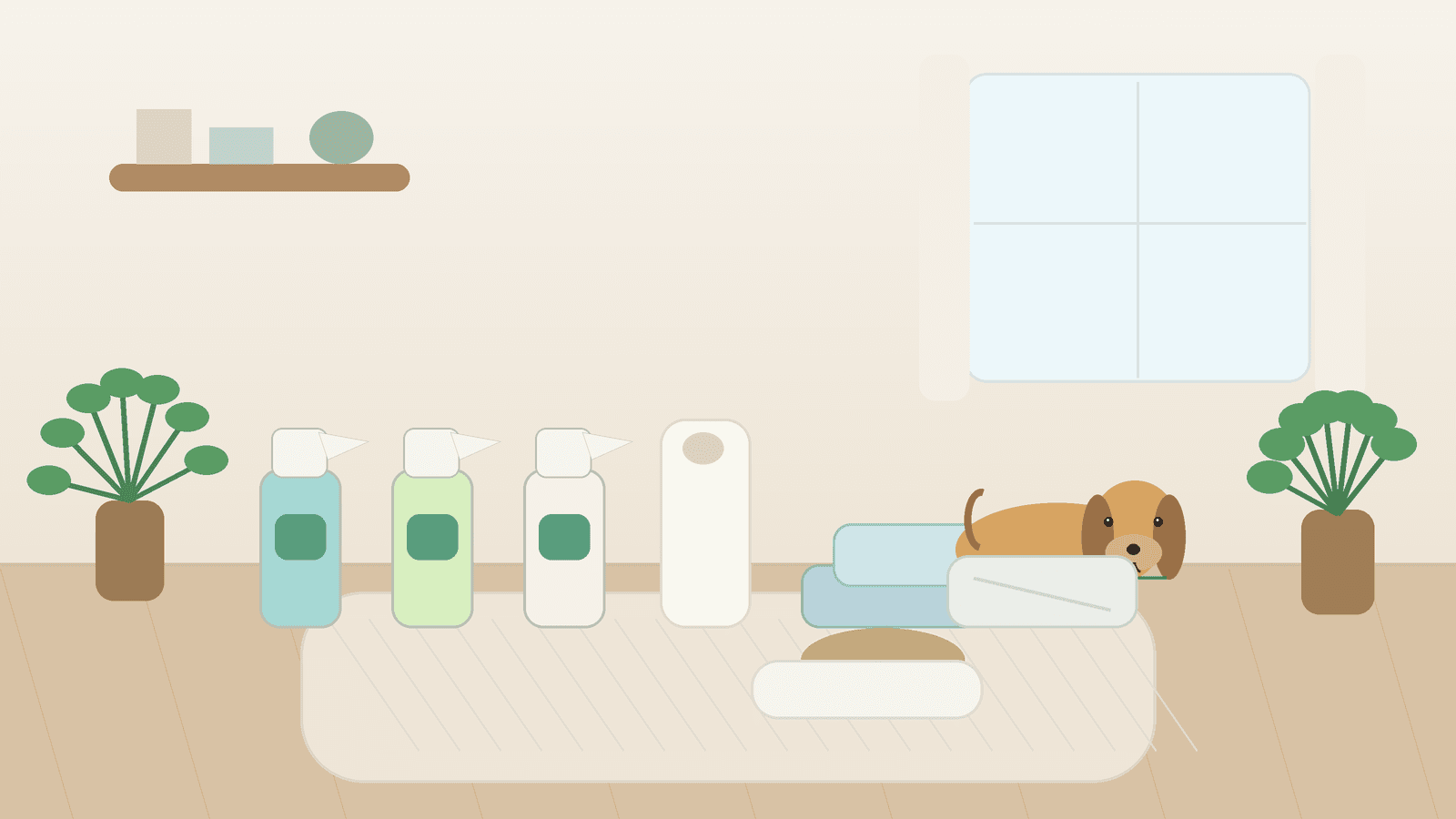 Best Pet Odor Removers and Enzyme Cleaners (2026)
