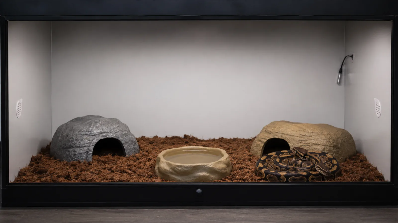 How to Set Up a Ball Python Enclosure: A Husbandry-First Build for a Shy Snake (2026)