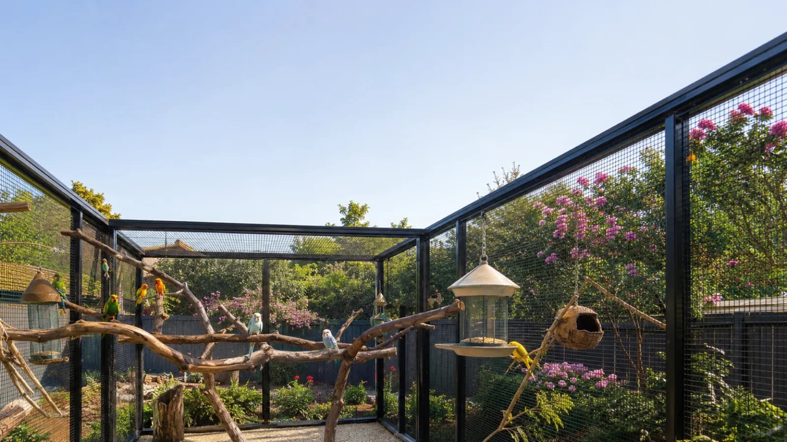 How to Set Up an Outdoor Backyard Aviary: A Build Sequence for a Walk-In Flight (2026)
