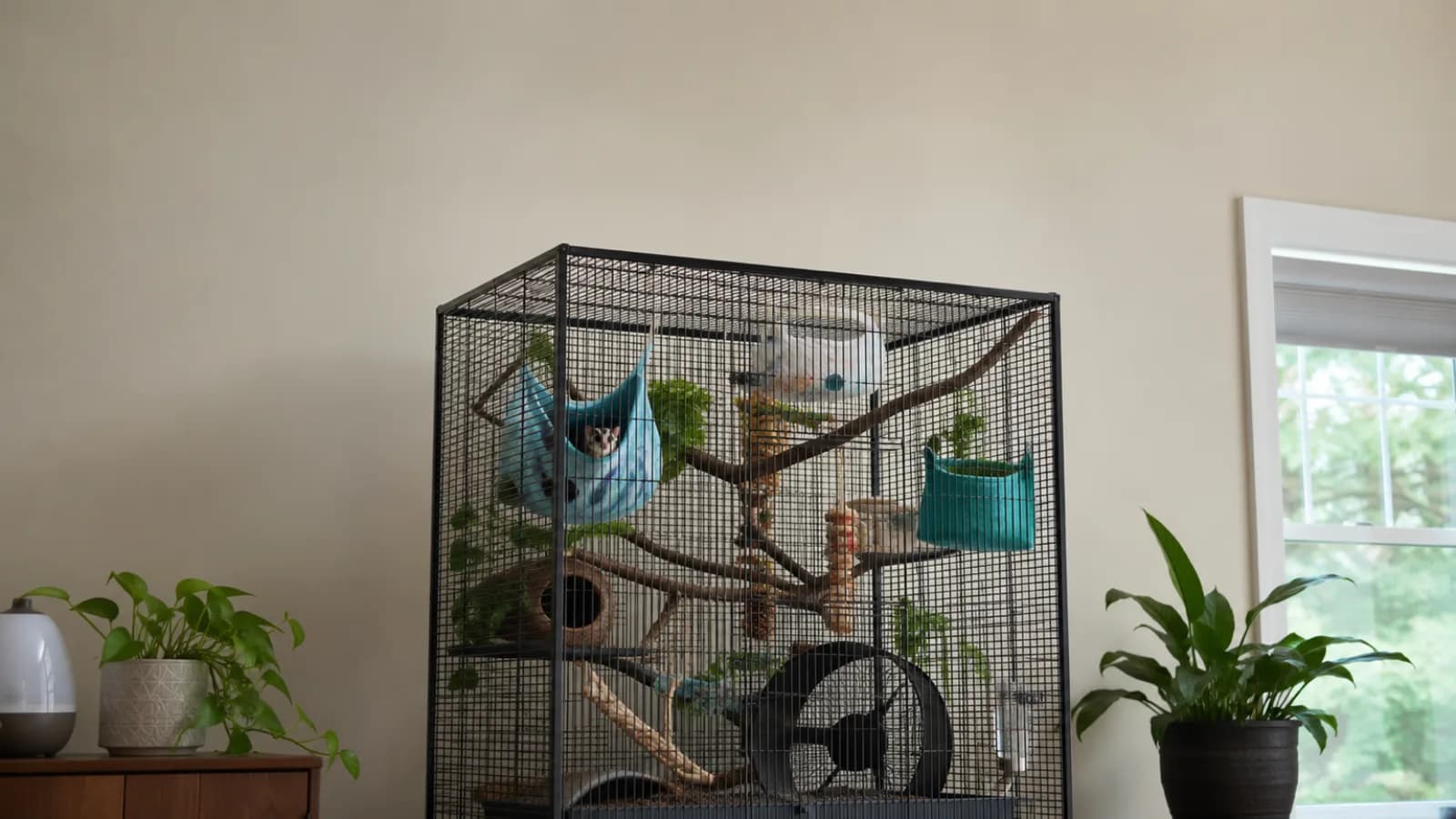 New Sugar Glider Starter Checklist: A Provisioning Kit for a First Colony (2026)