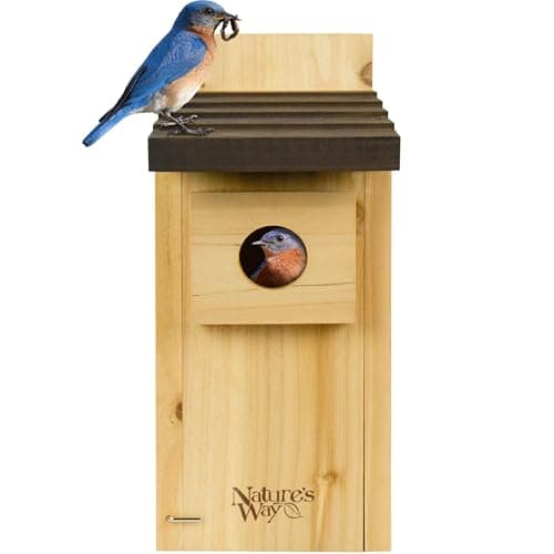 Nature's Way Cedar Bluebird House with Ventilation, Drainage & Cleanout Access