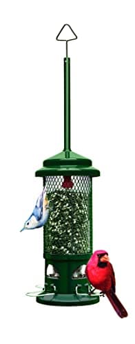 Brome Squirrel Buster Standard Squirrel-Proof Bird Feeder with 4 Metal Perches, 1.3-Pound Capacity